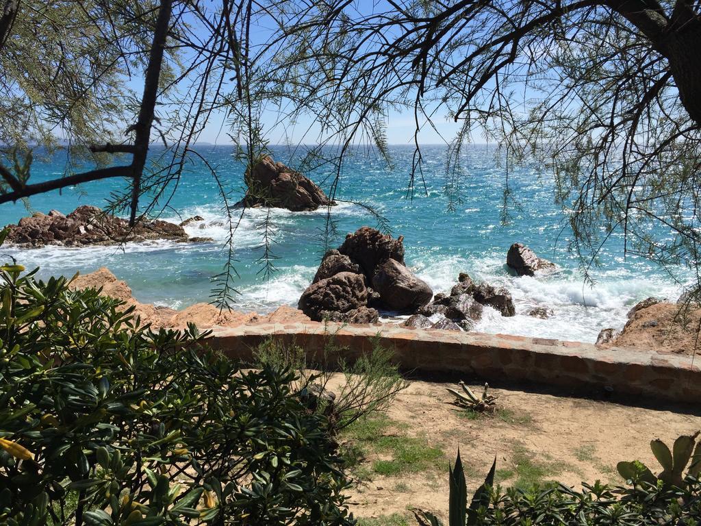 Dionysos Vue Mer Канны Номер фото